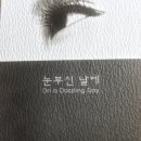 눈부신날 뷰티