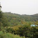 이시백 묘 이미지