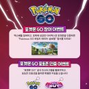 포커스 포켓 클럽 루리웹게임뉴스