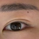 블리채 네이버블로그