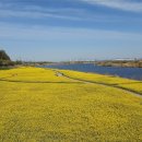 벌꿀모텔 이미지