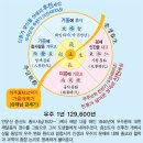 우주알