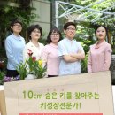 금영약국 이미지