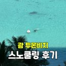 괌 투몬비치 스노쿨링 초보 후기 | 물고기 스팟·수심·꿀팁 정리