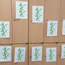 쌘뽈여자중학교 이미지