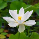 교산농장 이미지