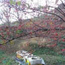 유천농장 이미지