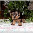 간석3동-43 이미지