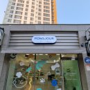 퐁주르 네이버블로그