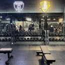 피트니스 온 | 광주 첨단대형헬스장 피트니스스타 일일권 운동하고온 후기