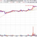 서전시스템 이미지