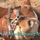 배부른돼지 - 계양구 황어로126번길 20 | 배부른돼지