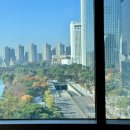 한성동물병원(양수지점) | 잠실산부인과 송파고은빛산부인과 20대 초산모 자연분만