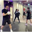 세븐복싱 이미지