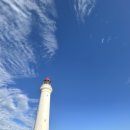 그레이트 팜 | (오세아니아/호주) 그레이트 오션로드 당일 투어_찐투어 후기