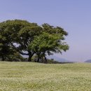 조천스테이 이미지