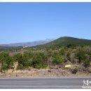 솔오름주차장 이미지