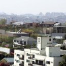 행정용 44 네이버블로그