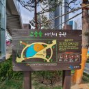 수원초등학교 진입로 이미지