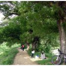 성남2리 경로당 이미지