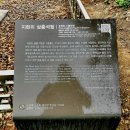 지현리 삼층석탑 이미지