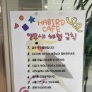 하버드앵무새카페