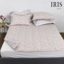 아이리스 이미지