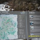 화목재 Daum카페