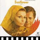 추억의 영화 해바라기 ( 주제곡 : Sunflower ) 이미지