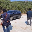 산지흑염소 이미지