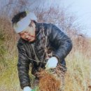 무등산건강원 - 부천시 원미구 부천로121번길 32 | 무등산건강원