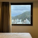 [일본 소도시 여행] 부산 출발 2박3일 도쿠시마 렌트카 여행 - 준비 및 여행일정