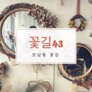 꽃길43