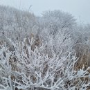 시골사람 산행기 이미지