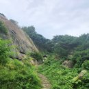 임천 가림성 느티나무 이미지