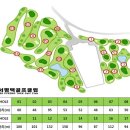 영골프클럽 이미지