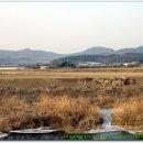 대운산리 이미지