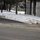 우정앤독스 이미지