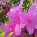 석사하나태권도 이미지