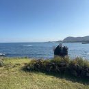 톨칸이 | [국내여행] 우도 순환버스 홀수일 당일치기 후기(두문포항 출발, 우도 순환버스타는법, 주차, 추천코스)