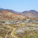 매화주유소 - 화성시 궁평항로 1679 | 매화주유소