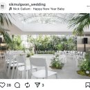 예산-16 | [Wedding#16] 식물관 PH 웨딩 디렉팅 후기 | 중요한 건 예산이 아니라 줏대와 감각