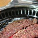 달빛고기 이미지