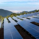 진화태양광발전소 이미지