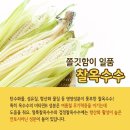 좋은 찰 옥수수 고르는 법 이미지