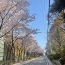 CU 역삼벚꽃길점 이미지