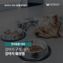 더블유동물의료센터 네이버블로그