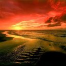 노을진바다 이미지