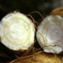 인삼웰빙사우나 이미지