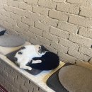 아차산로 이미지